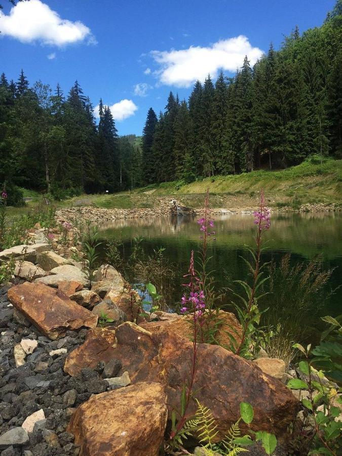 Horska Chata Pod Lanovkou Jáchymov Buitenkant foto