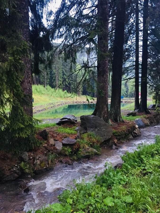 Horska Chata Pod Lanovkou Jáchymov Buitenkant foto